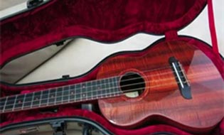 Musicalcase new super light Guitar Package listed